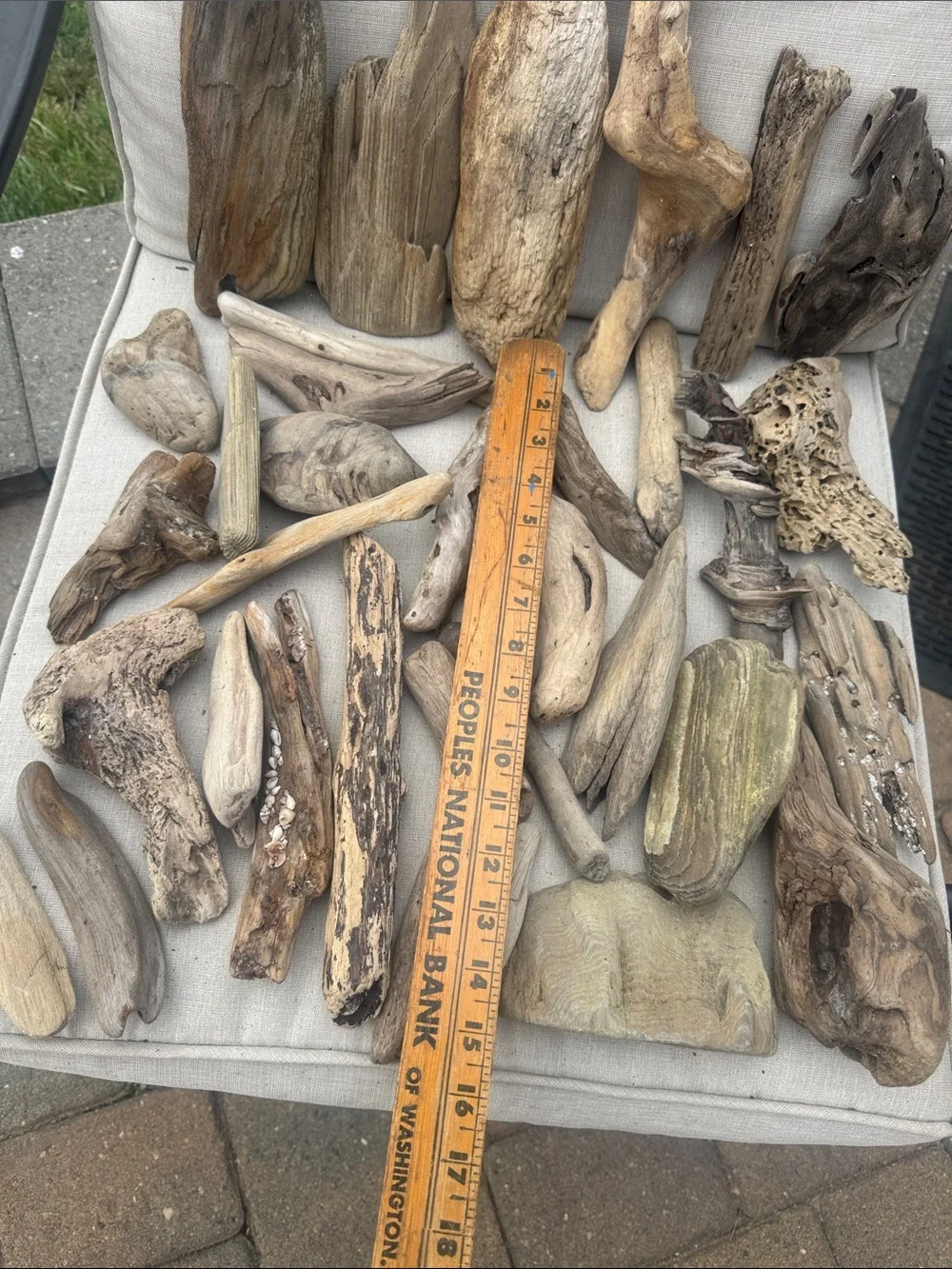 34 Pc (5lbs shipped) Box of beach Natural Driftwood Pieces for craft or decor
